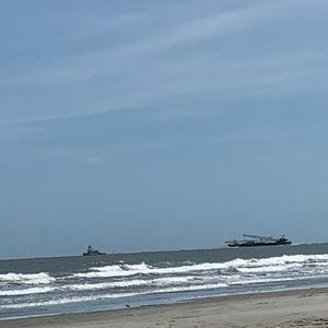 Meet your Posher, Abigail